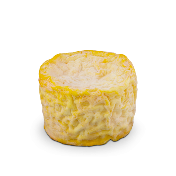 Formaggio Langres Real Group